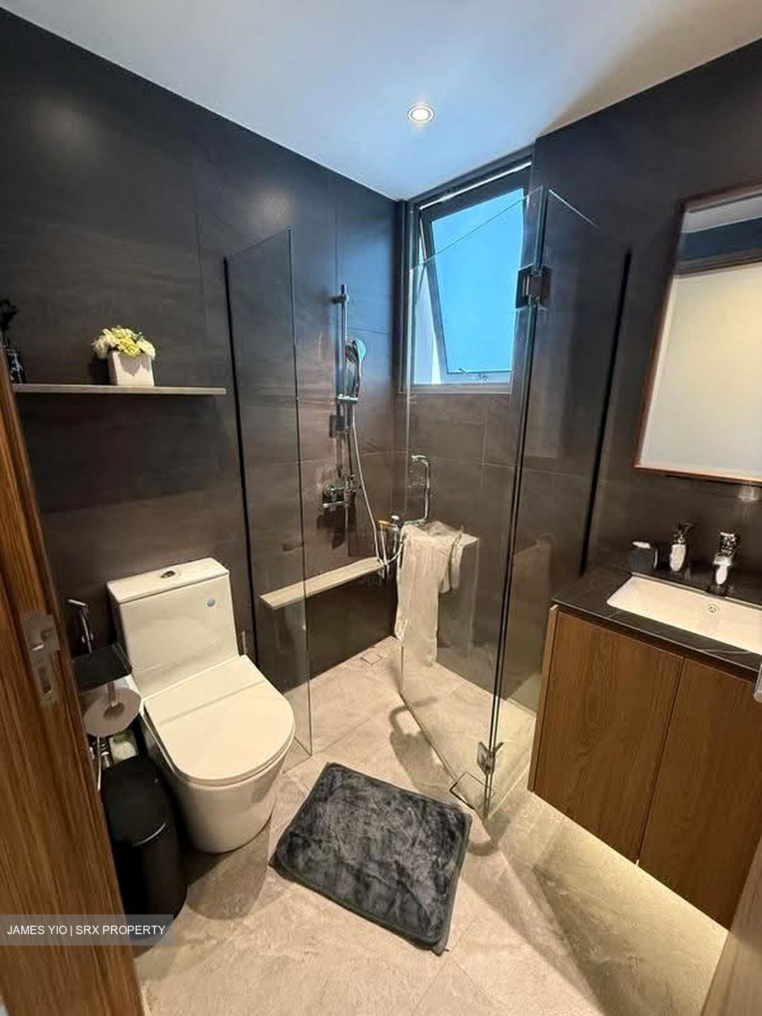 The Canopy (D27), Condominium #616597681